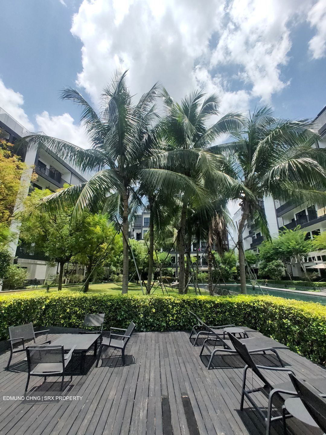 Village @ Pasir Panjang (D5), Condominium #575133731